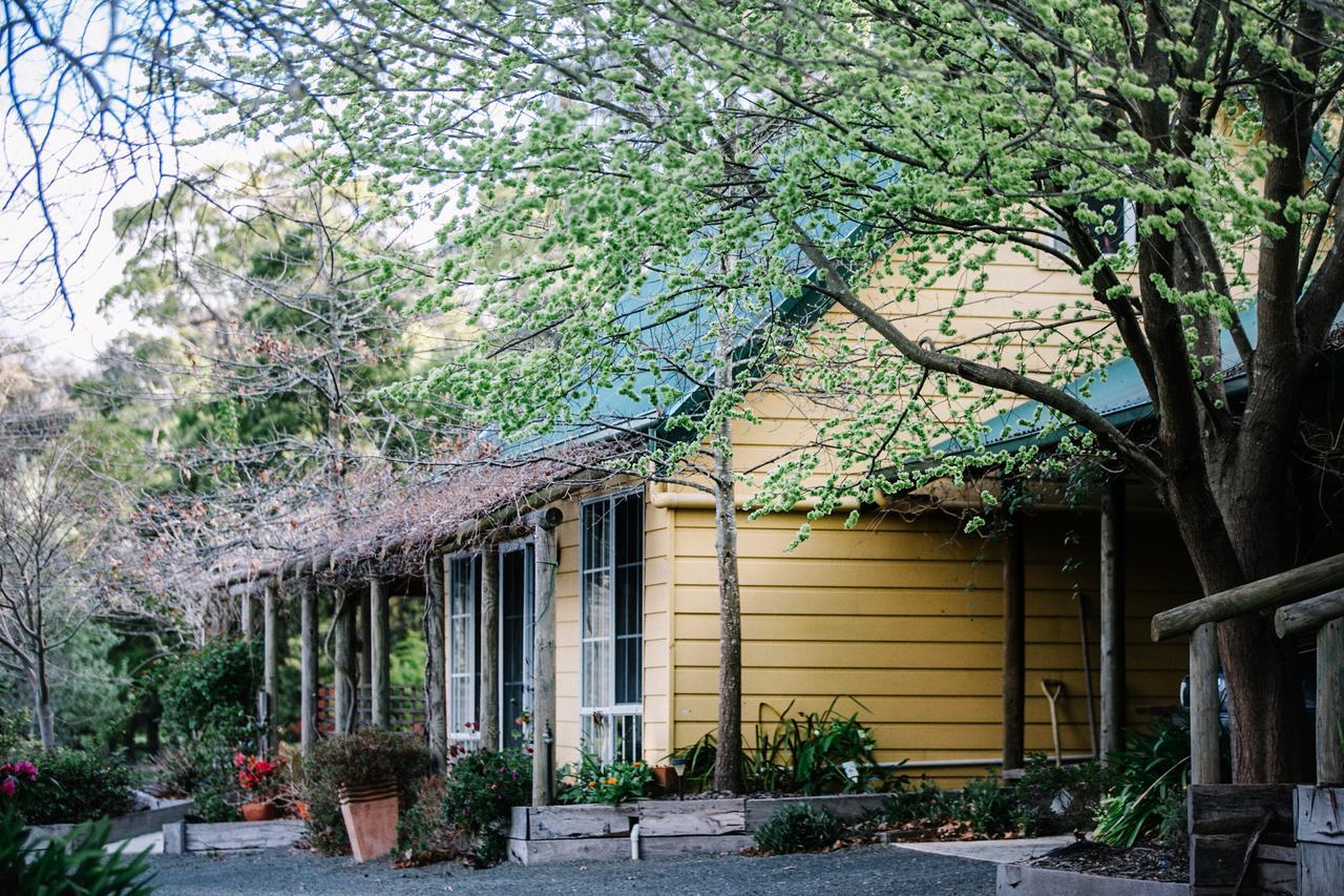 Wurrung B & B - The Cottage Woodend Kültér fotó